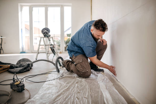 Best Ceiling Drywall Installation  in Ouray, CO